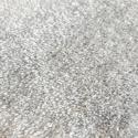 frost detail